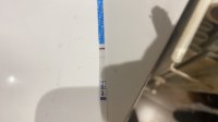 90E71ECF-658E-449C-A686-695FFE0EA88B.jpeg