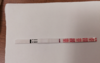 test7dpo.png