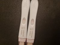 20201218_073559.jpg