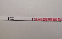 8dpo.png