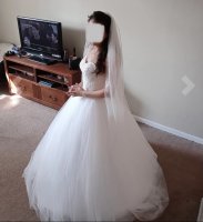 B0FE7426-92AC-4CC1-BEC7-FE18B30546B0.jpeg