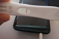 11dpo1.png