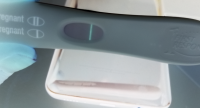 11dpo2.png