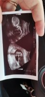 IMG-20201228-WA0004.jpeg