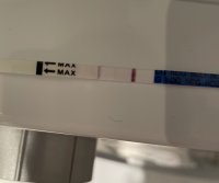 B0659B15-6F26-4FA1-A2FF-984281C7C557.jpeg B0659B15-6F26-4FA1-A2FF-984281C7C557.jpeg