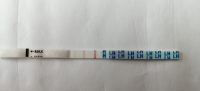 CD12a.png