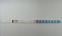 CD12b.png