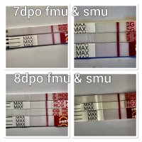 3A2230E7-7D86-41E7-A7C6-3DE55B3051BD.jpeg