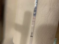 15F32341-F81A-4CA5-A5FA-8E55B1C09414.jpeg
