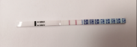 CD14a.png