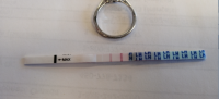 cd15b.png