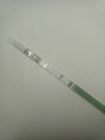 IMG_20210110_085232_337.jpg