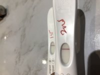 CA191D1D-C96D-4A8A-A98A-5E668E71DA67.jpeg