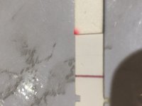 DEA26032-ECF0-49E1-A487-A284BFD8A240.jpeg