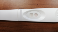 CD18opk.png