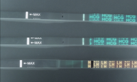 testneg.png