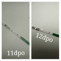 pixlr.jpg
