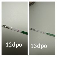 pixlr_20210114124537663.jpg