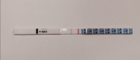 CD21-6DPO.png