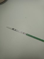 IMG_20210115_084734_207.jpg