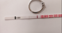7dpo.png