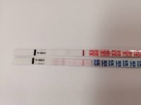 11dpo.jpg