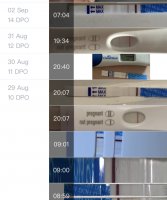 4AF65FD8-D2AC-429C-A25A-252C57A4417D.jpeg