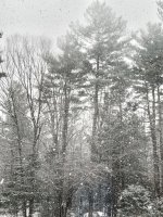 B155C113-EC69-46DB-9EDC-853275B00183.jpeg