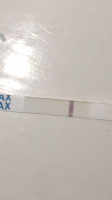 86C79982-7684-4A8D-853A-0CA2387B1538.png