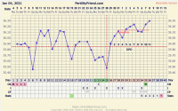 Fertility Chart 2.PNG