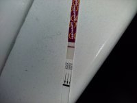 20210208_080625.jpg