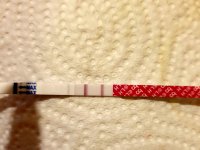 20210210_093153.jpg