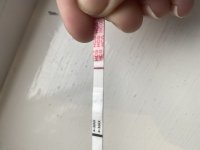 0079BD69-5EDE-4B4F-A2E8-2A9427EC0C34.jpeg