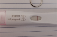 13dpo.PNG
