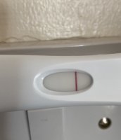 C2C5CF2A-188B-4DF8-BD5C-2A88147AAFD3.jpeg