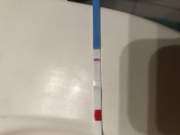 7DD63F64-3650-4D4E-B730-A3AD3D9A38E7.jpeg