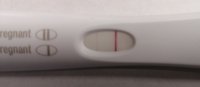 11dpoafternoonfrer.JPG