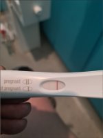 10dpo FRER.jpg