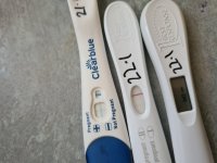 12 DPO JAN.jpg