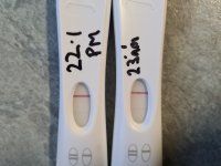 12  13 DPO JAN.jpg