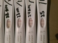 FRER 25th March 14dpo.jpg