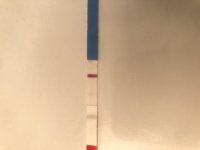 A8B0E7DE-915A-4B6C-AD4A-C144CFC74FA9.jpeg