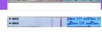 Screenshot_20210331-183257_Premom.jpg
