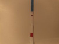 F0CB36D9-62FA-409C-B879-3D5BE396FC95.jpeg