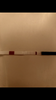 72702C49-3BF7-443F-9AEB-FDA8A76FA5E3.png