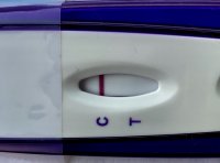 E76FC39E-CEF0-486E-9929-F58E4FF28886.jpeg