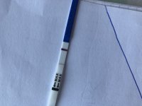 17E6D035-C859-4CBD-A27F-B3410E93E676.jpeg