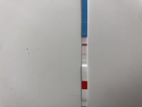 BE371198-FE44-4814-B02E-1F30335602FC.jpeg