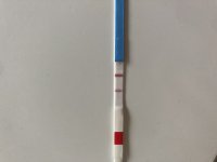 86091330-2158-4C0D-92C5-E4E3E2586852.jpeg