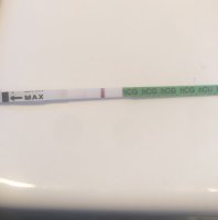 AB16ED7E-ACE7-4636-9017-01C3D7EE170C.jpeg